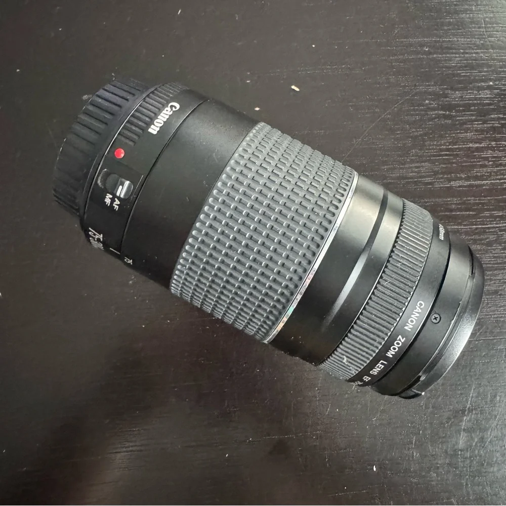 Canon Black and Gray Telephoto Zoom Lens